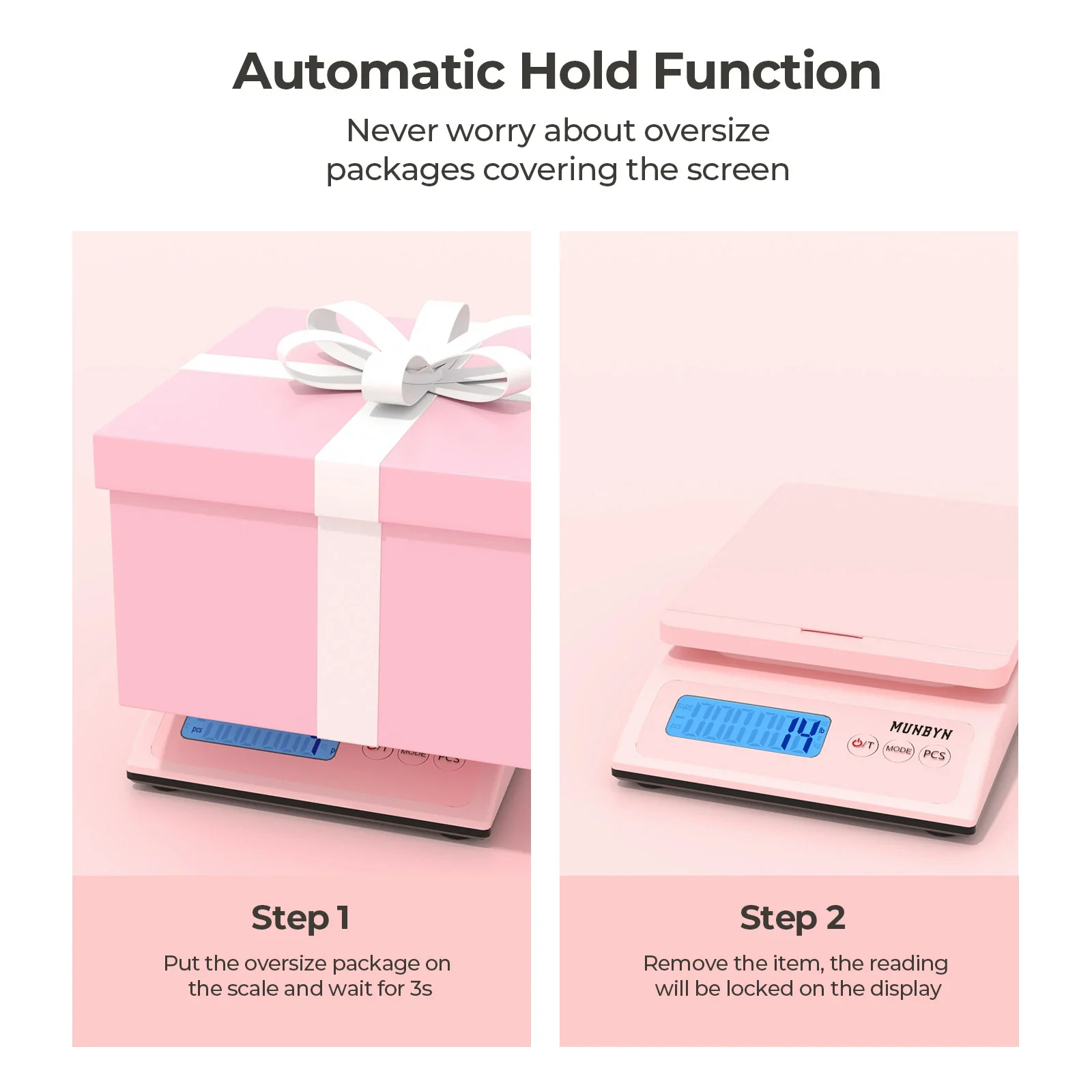 IPS01 Shipping Scale - Image 5